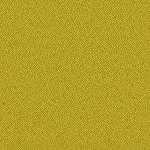 Avocado Forte swatch