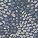 Nautilus swatch